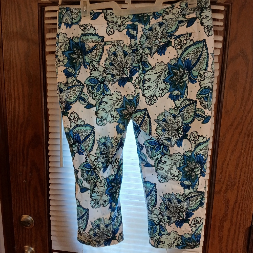 Ann Taylor Curvey Floral Print Capri Pants Size 14